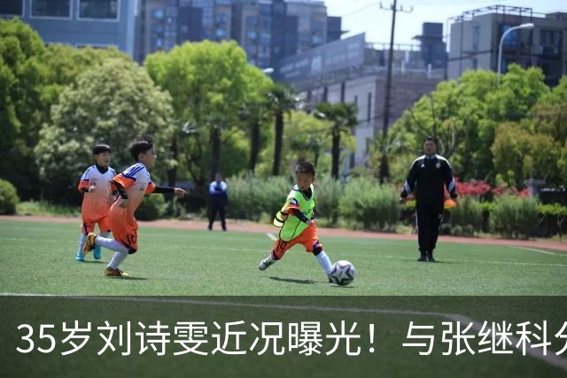 35岁刘诗雯近况曝光！与张继科分手12年，如今独身深耕学业与事业